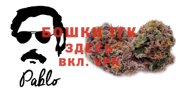 сатива Богородицк