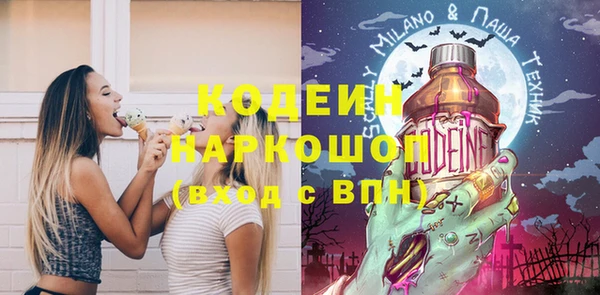 МДПВ Богородск