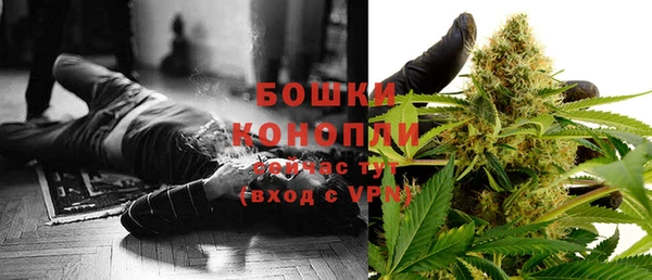 сатива Богородицк