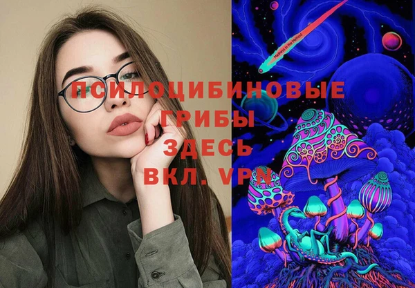 сатива Богородицк