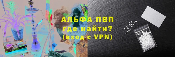 сатива Богородицк