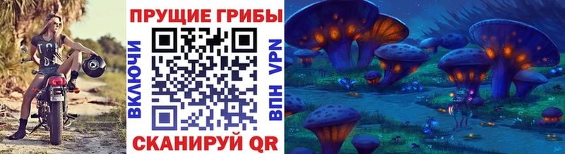 Галлюциногенные грибы MAGIC MUSHROOMS  где купить наркотик  Волжский 