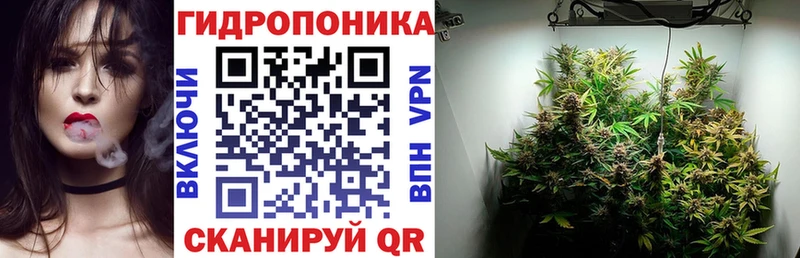 что такое   Волжский  Шишки марихуана White Widow 